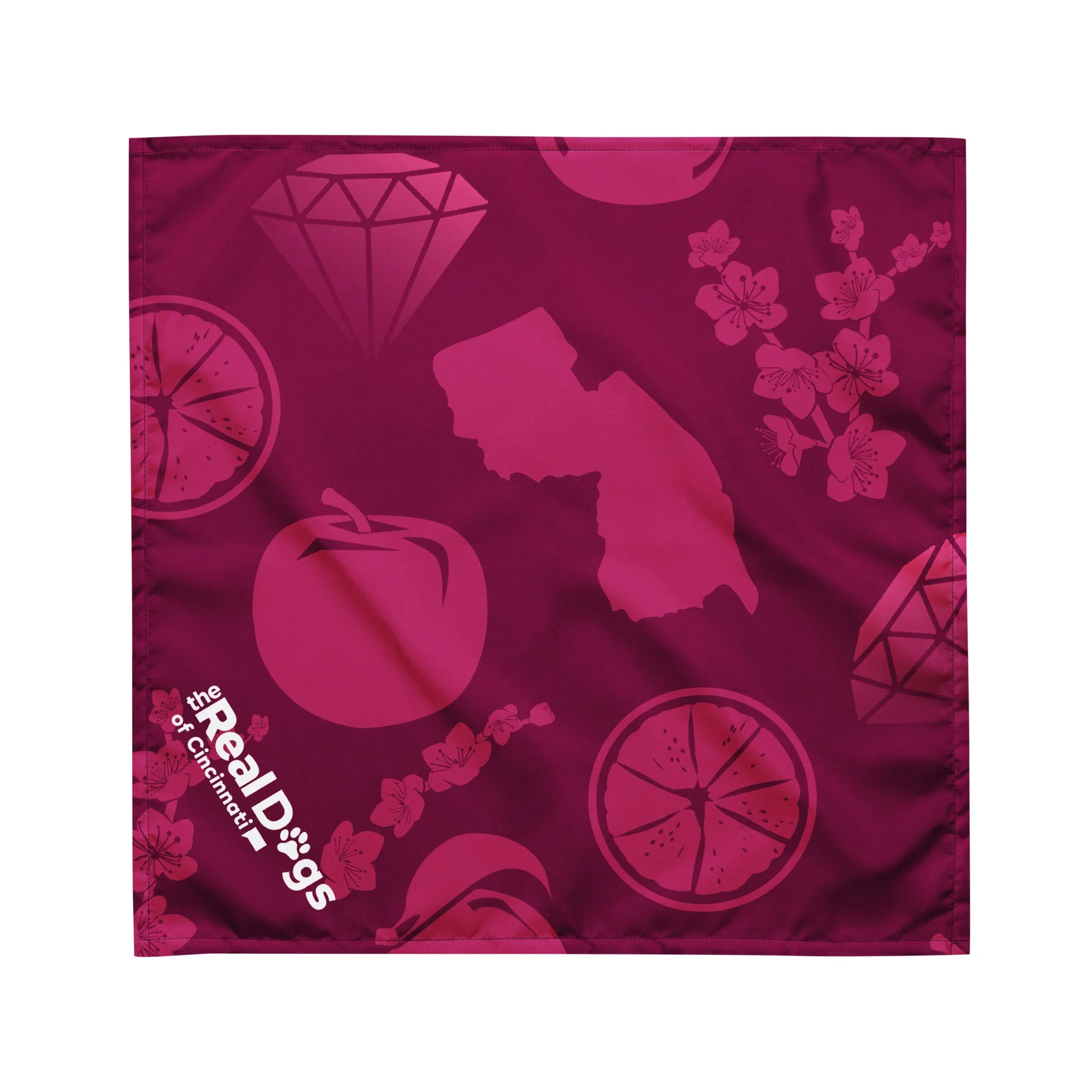 Bravo The Real Housedogs Personalized Pet Bandana - Image 3