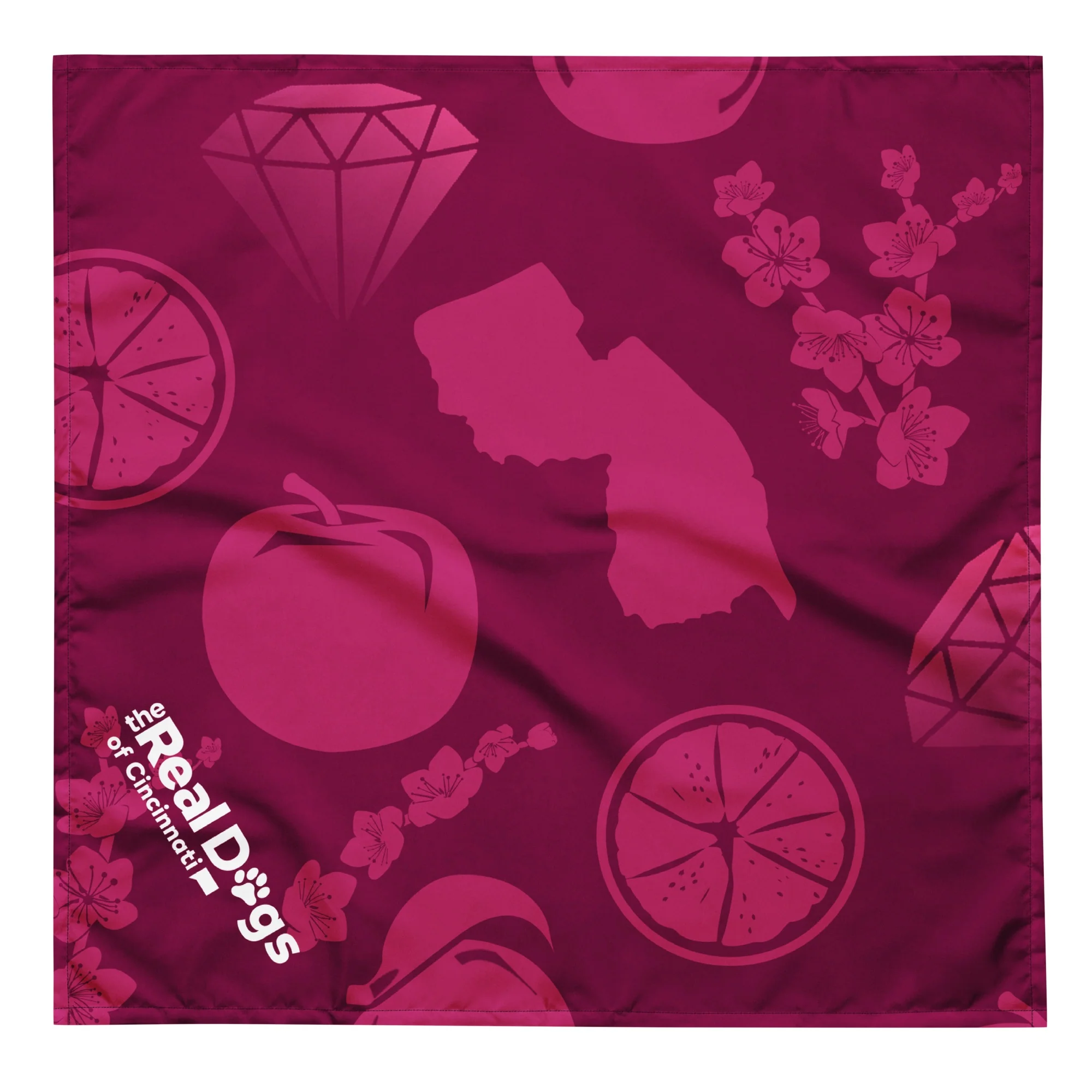 Bravo The Real Housedogs Personalized Pet Bandana - Image 4